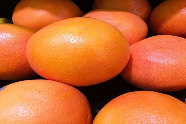Fruits Unlimited