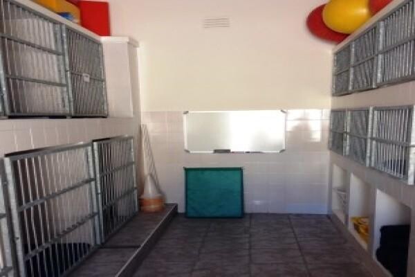 Southern Cross Veterinary Clinic