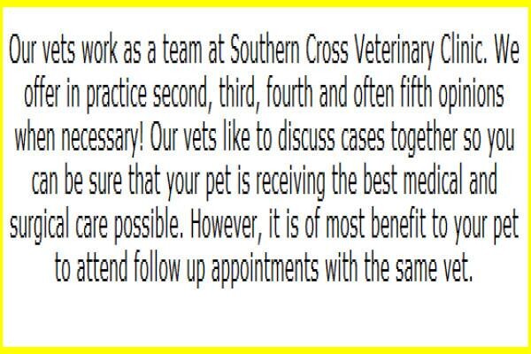 Southern Cross Veterinary Clinic