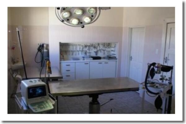 Southern Cross Veterinary Clinic