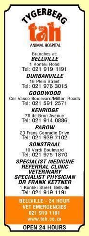 Tygerberg Animal Hospital