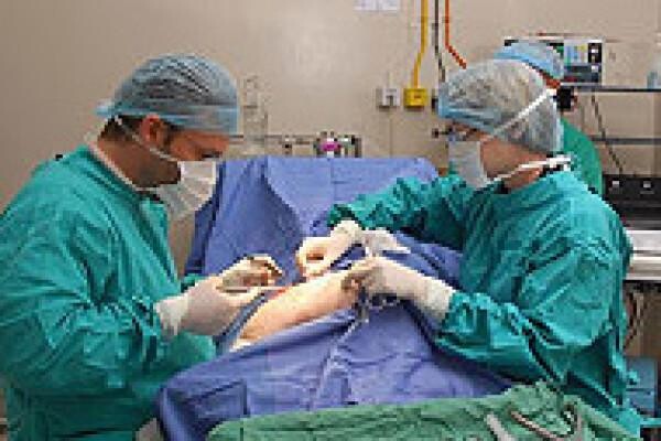 Tygerberg Animal Hospital