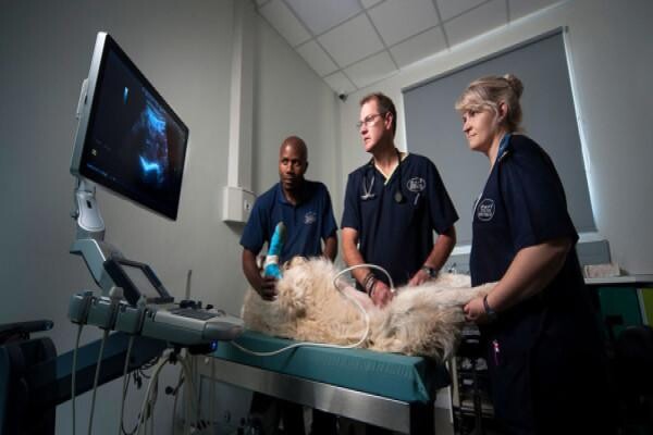 Valley Farm Animal Hospital
