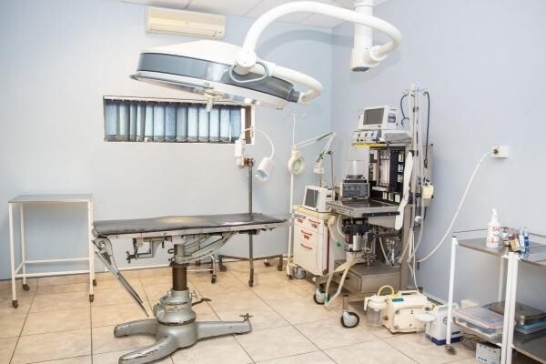 Village Veterinary Clinic