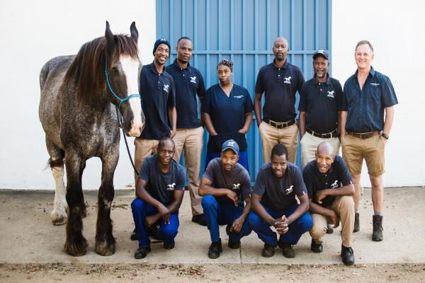 Summerveld Equine Hospital