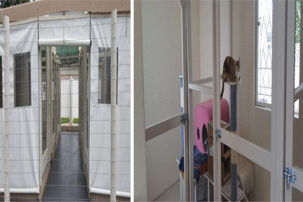 Kowie Veterinary Clinic