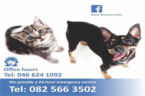 Kowie Veterinary Clinic
