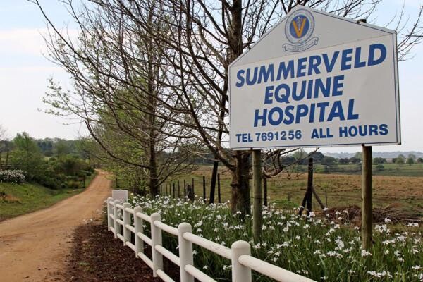 Summerveld Equine Hospital