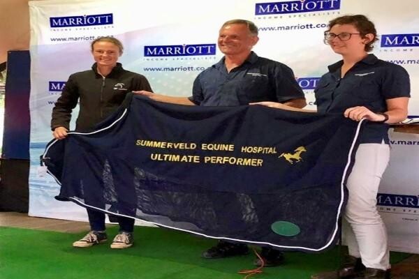 Summerveld Equine Hospital