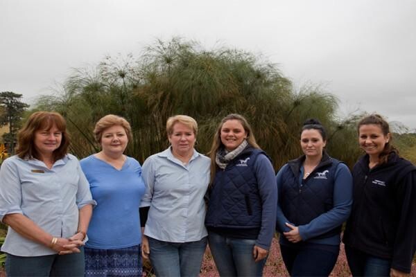 Summerveld Equine Hospital