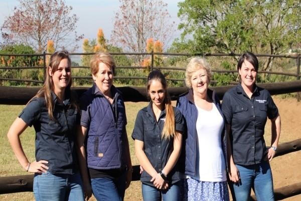 Summerveld Equine Hospital