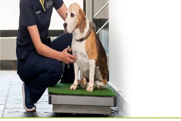Valley Farm Animal Hospital