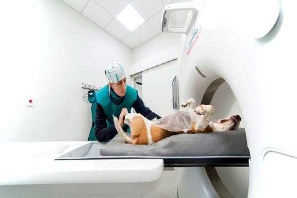 Valley Farm Animal Hospital