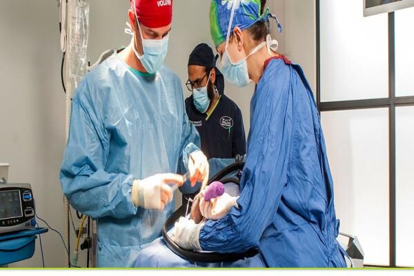 Valley Farm Animal Hospital