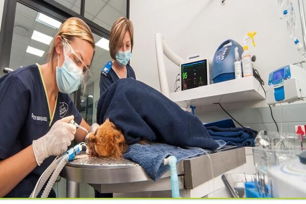 Valley Farm Animal Hospital