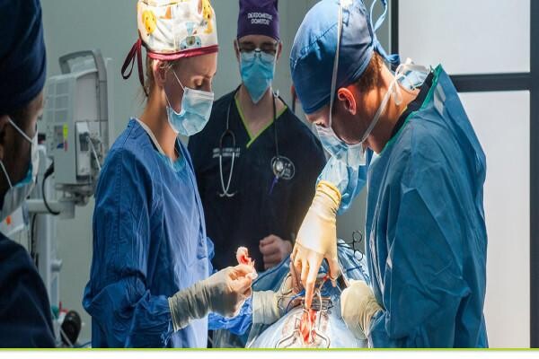 Valley Farm Animal Hospital
