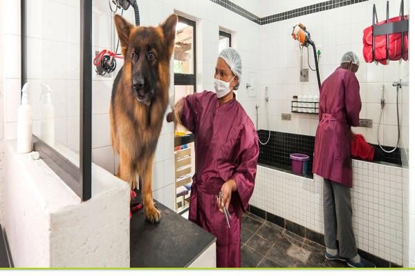Valley Farm Animal Hospital
