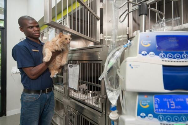 Valley Farm Animal Hospital