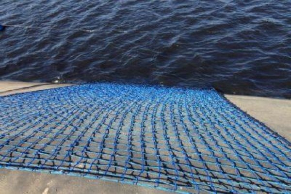 Nets For All