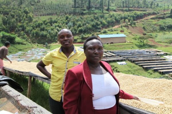 Origin Coffee Roasting