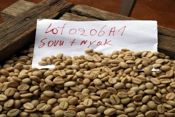 Origin Coffee Roasting