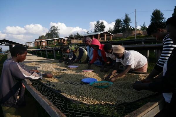 Origin Coffee Roasting