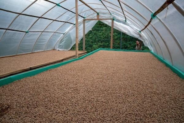 Origin Coffee Roasting