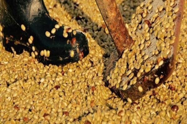 Origin Coffee Roasting