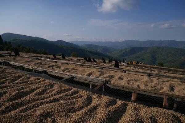 Origin Coffee Roasting