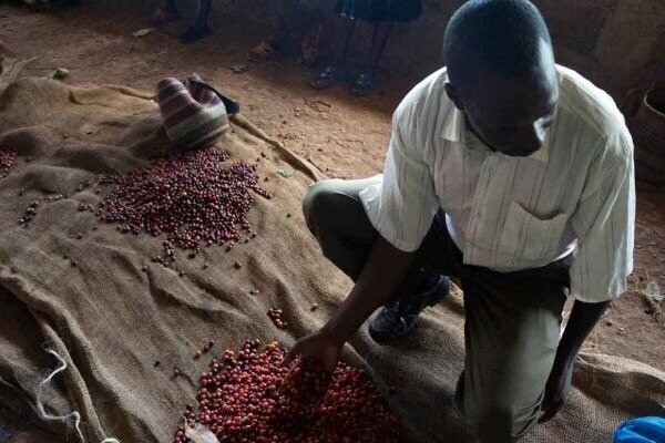 Origin Coffee Roasting