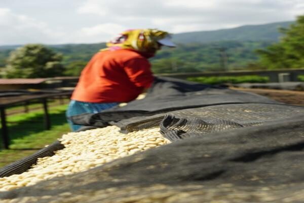 Origin Coffee Roasting