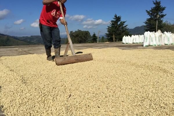 Origin Coffee Roasting