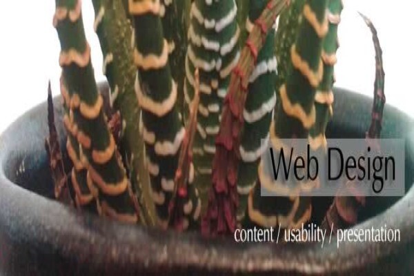 Specialized Graphics