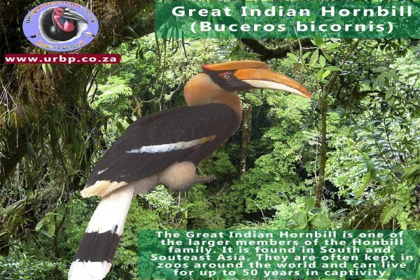 Umgeni River Bird Park