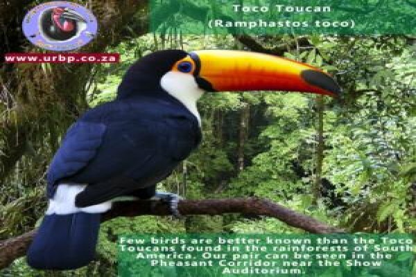 Umgeni River Bird Park
