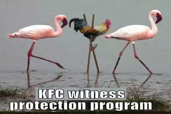 Umgeni River Bird Park