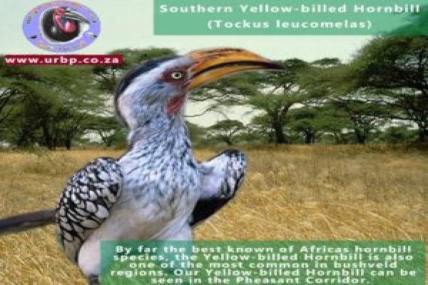 Umgeni River Bird Park