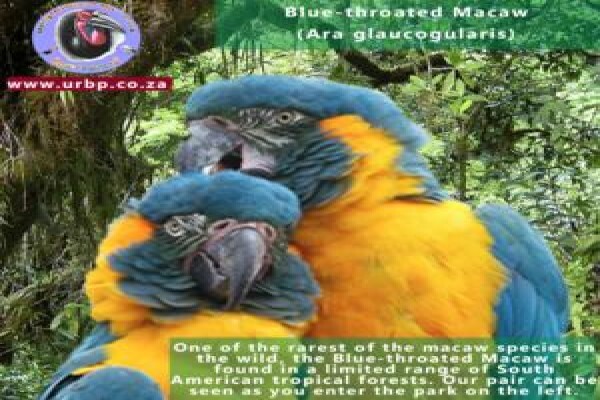 Umgeni River Bird Park