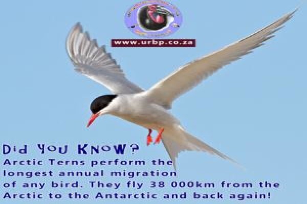 Umgeni River Bird Park