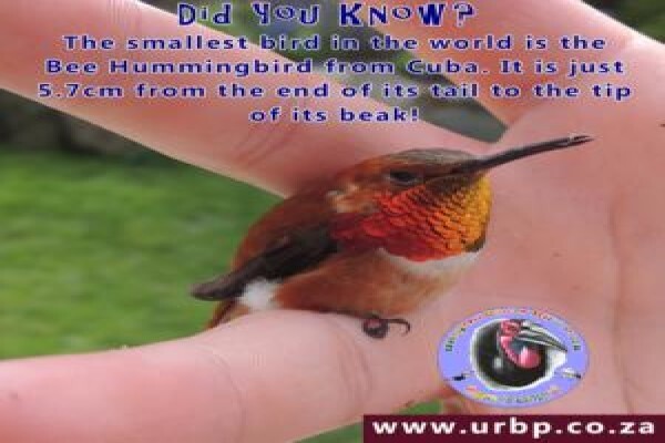 Umgeni River Bird Park