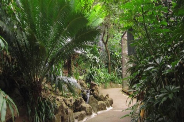 Umgeni River Bird Park