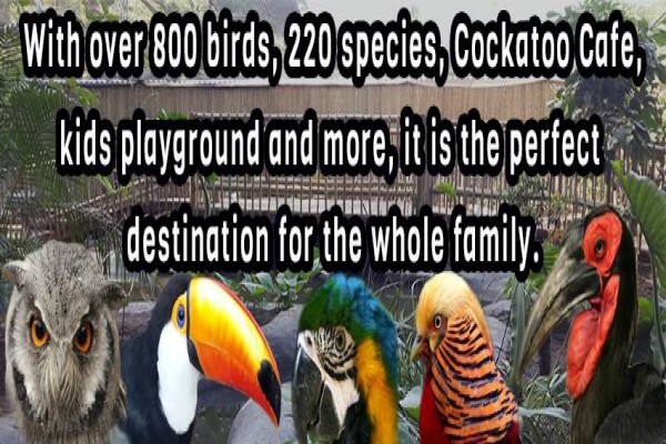 Umgeni River Bird Park