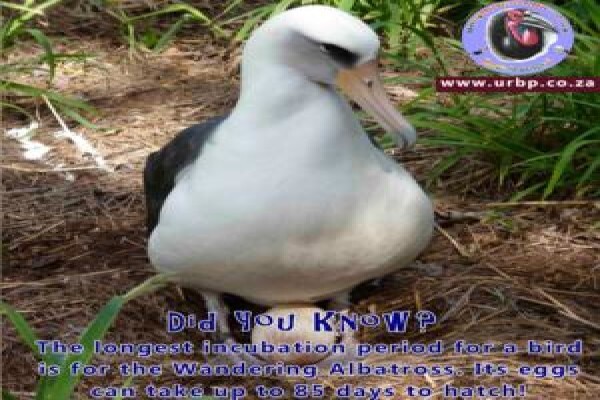 Umgeni River Bird Park