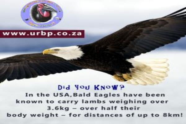 Umgeni River Bird Park