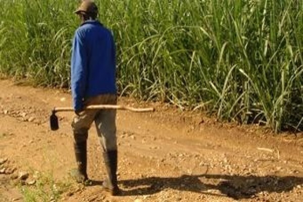 Vumelana Advisory Fund
