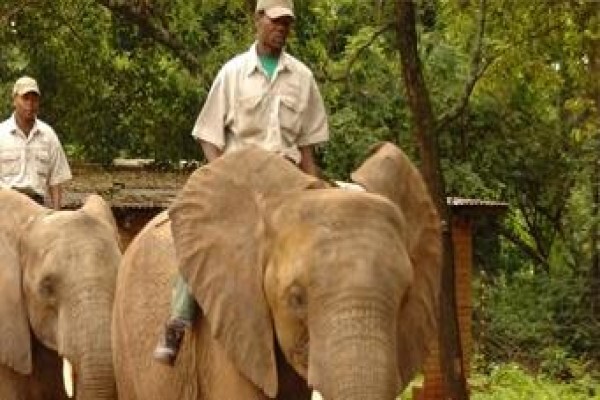Vumelana Advisory Fund