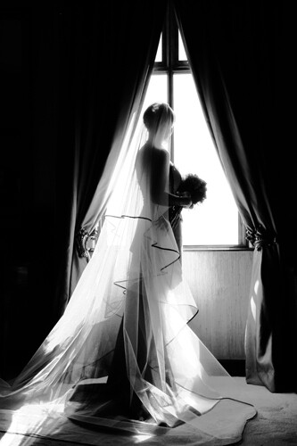 Andrew Howes Photography