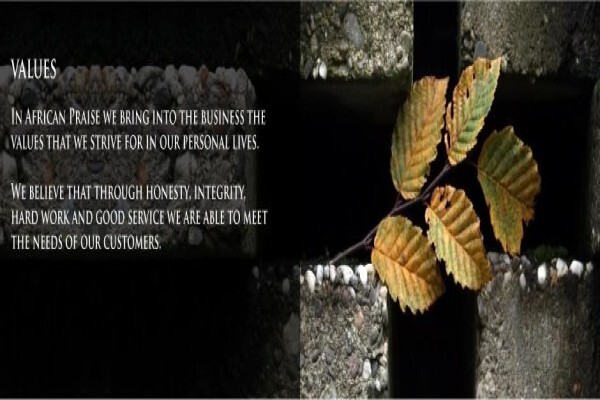 African Praise Church Investments