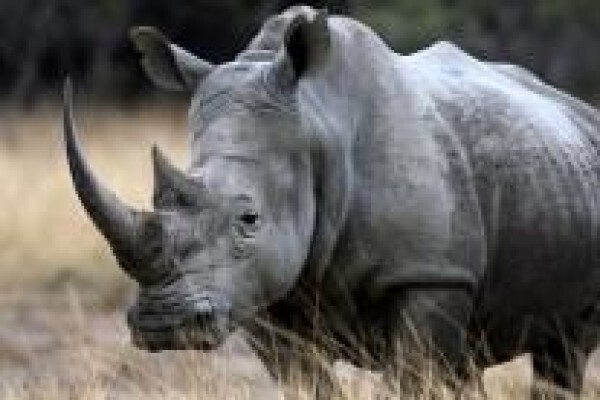 Louw Photo Photography