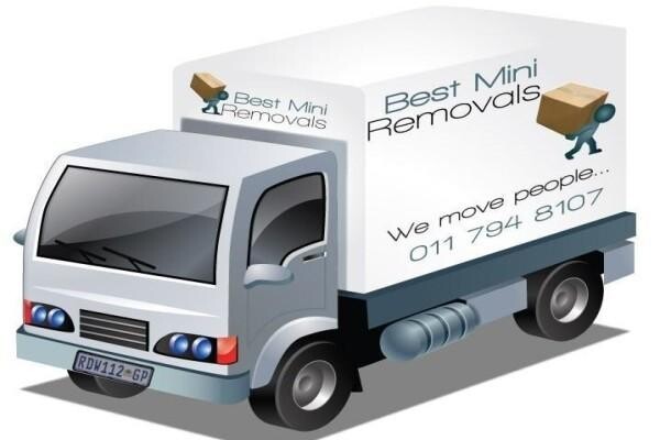 Best Mini Removals